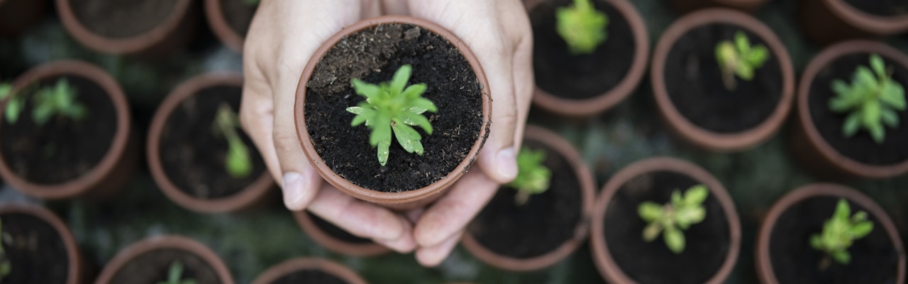 holding a potted plant