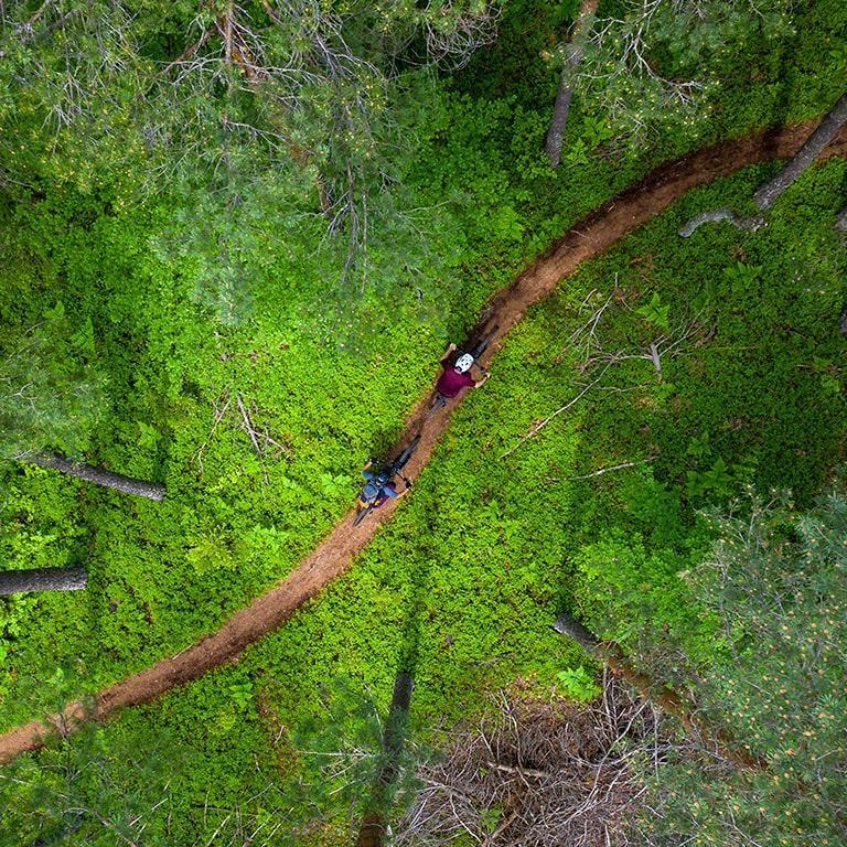 people walking on a trail in the woods