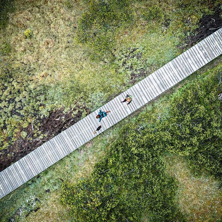 aerial view of people walking across bridge