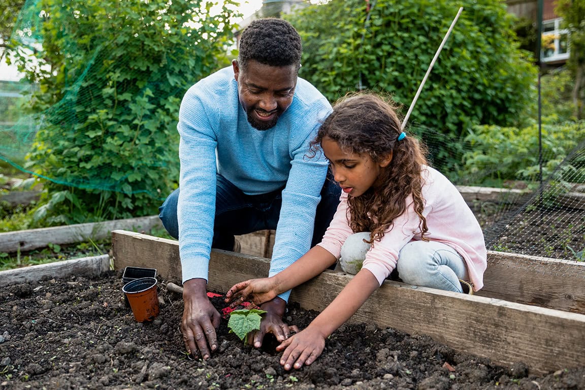 father and daughter planting in the garden
