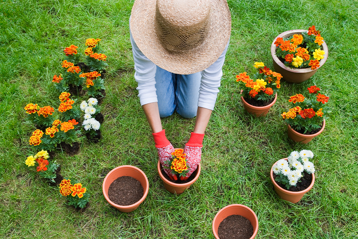 women planting flowers