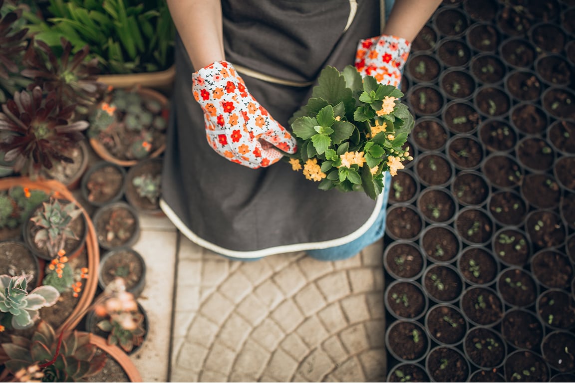 Person tending and caring for plants