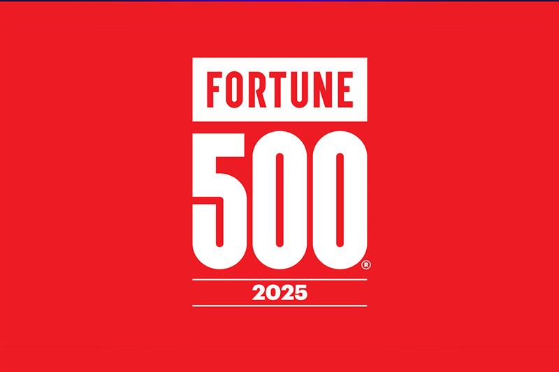 Fortune 500 2025 Logo