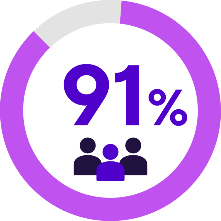 91 Percent pie chart