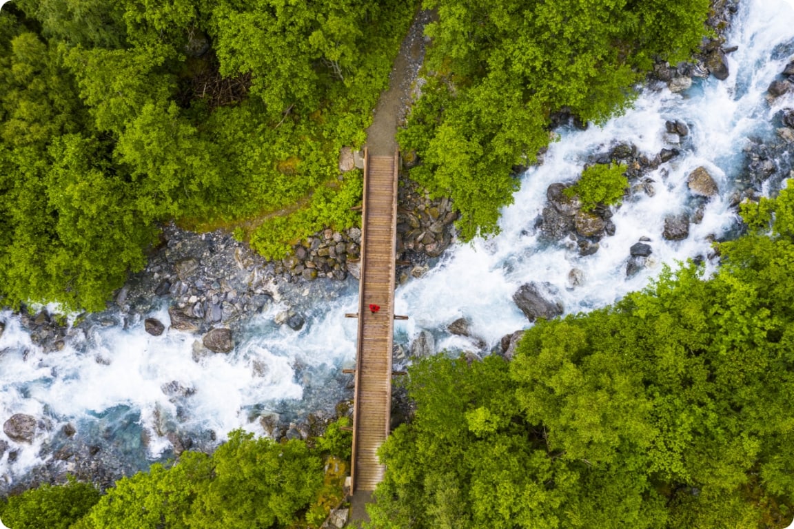 Suspended bridge