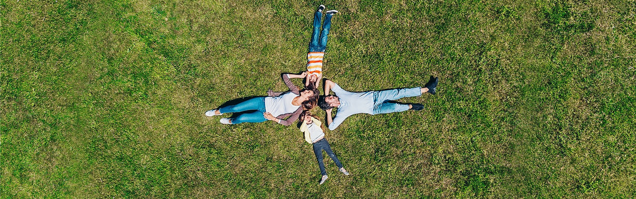 people laying in field