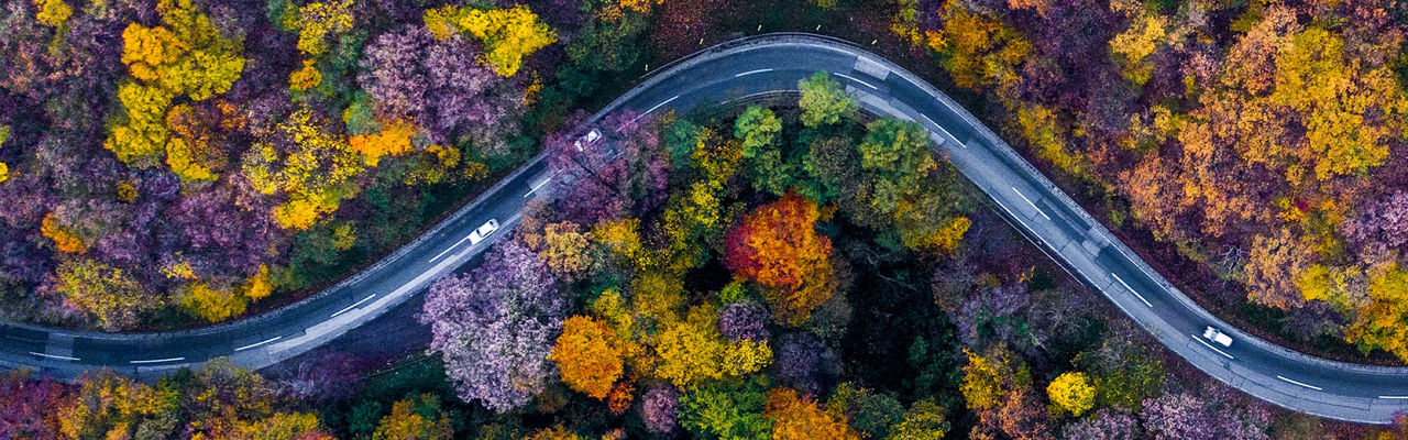 Birdseye view of road surrounded by forestation