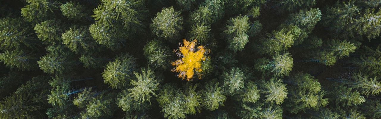 Two colleagues looking over paperwork
