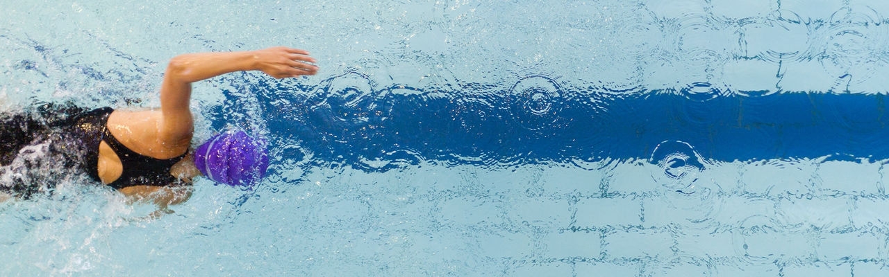 women swimming in a race